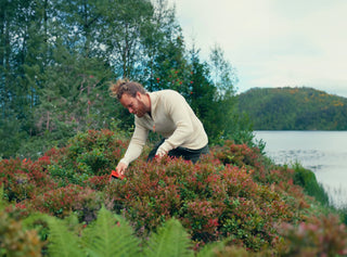 Outlet ullplagg til dame – Lanullva